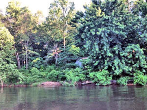 408 Ok-28 Property Photo 2