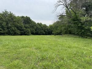 3 Holstein Trail Property Photo 1
