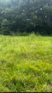 3 Holstein Trail Property Photo 2