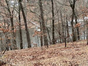 Tbd E 340 Road Property Photo 3