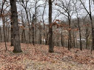 Tbd E 340 Road Property Photo 4