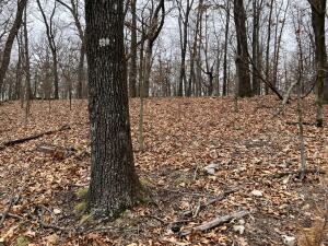 Tbd E 340 Road Property Photo 7