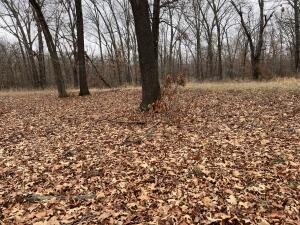 Tbd E 340 Road Property Photo 8