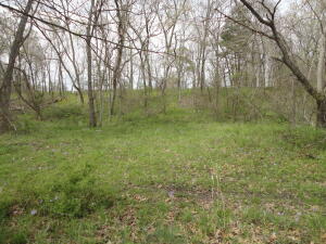 62355 E 270 Road Property Photo 16