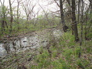 62355 E 270 Road Property Photo 17