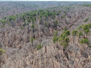 County Road 465 Property Photo 1