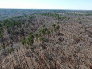 County Road 465 Property Photo 4