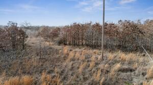 37333 S 520 Road Property Photo 8