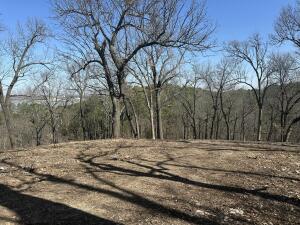Parcel 2 E 325 Trail Property Photo 9