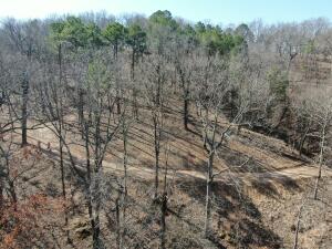 Parcel 2 E 325 Trail Property Photo 12