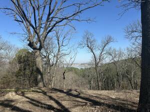 Parcel 2 E 325 Trail Property Photo 17