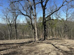 Parcel 2 E 325 Trail Property Photo 19