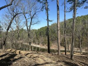Parcel 2 E 325 Trail Property Photo 21