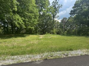 Parcel 4 E 325 Trail Property Photo 2