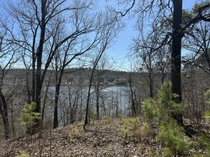 Parcel 4 E 325 Trail Property Photo 3