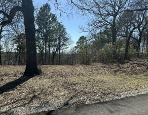 Parcel 3 E 325 Trail Property Photo 2