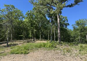 Parcel 3 E 325 Trail Property Photo 10