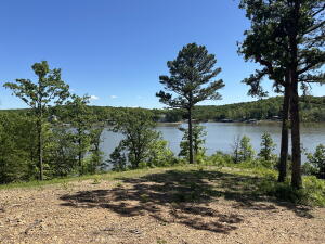 Parcel 3 E 325 Trail Property Photo 15