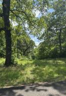 Parcel 3 E 325 Trail Property Photo 20