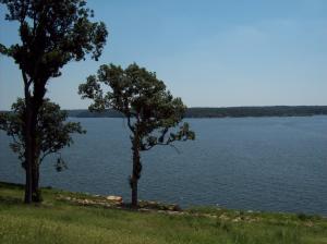 452717 Preakness [lot 22] Drive Property Photo 7