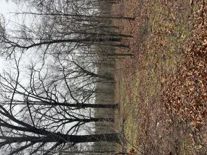 Quapaw Real Estate Listings Main Image
