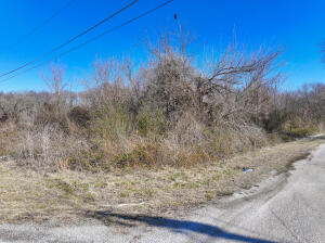 Ross Avenue Property Photo 2