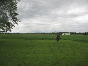 21889 S 520 Road Property Photo 56