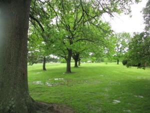 21889 S 520 Road Property Photo 59