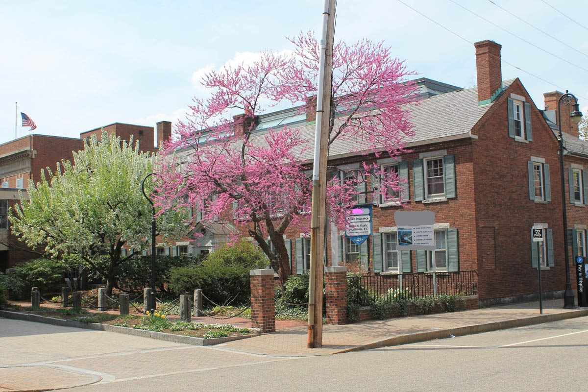 40 Stark Street Property Photo 1