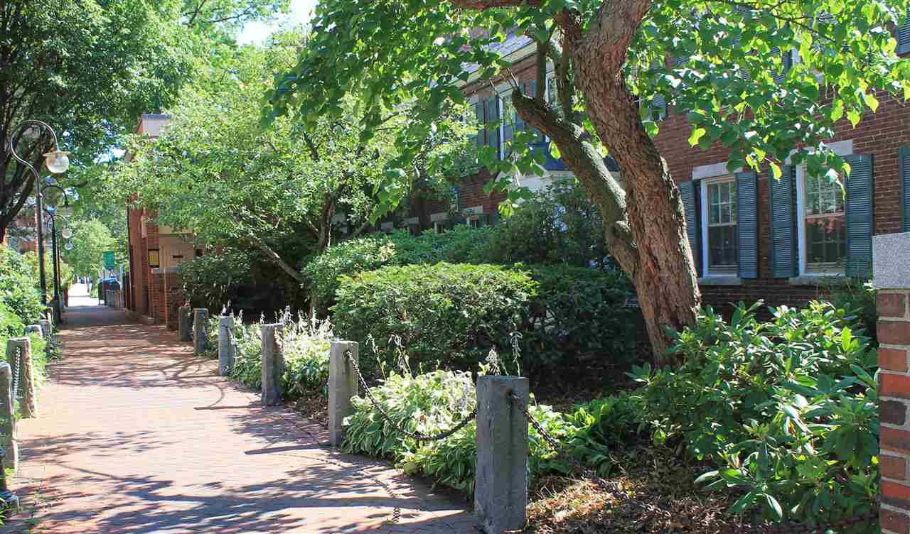 40 Stark Street Property Photo 3
