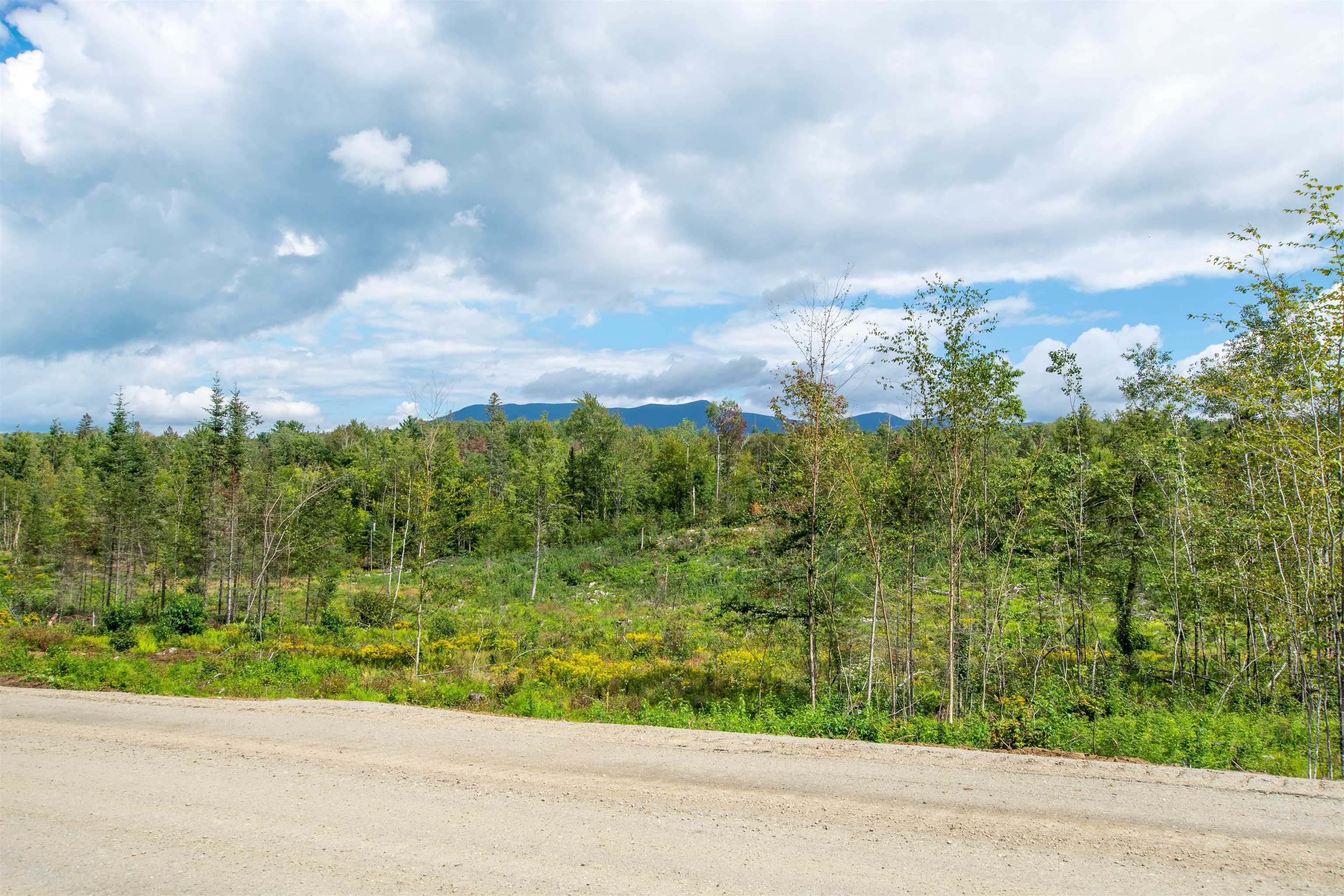 Lot 5 Kelsea Avenue Property Photo 5