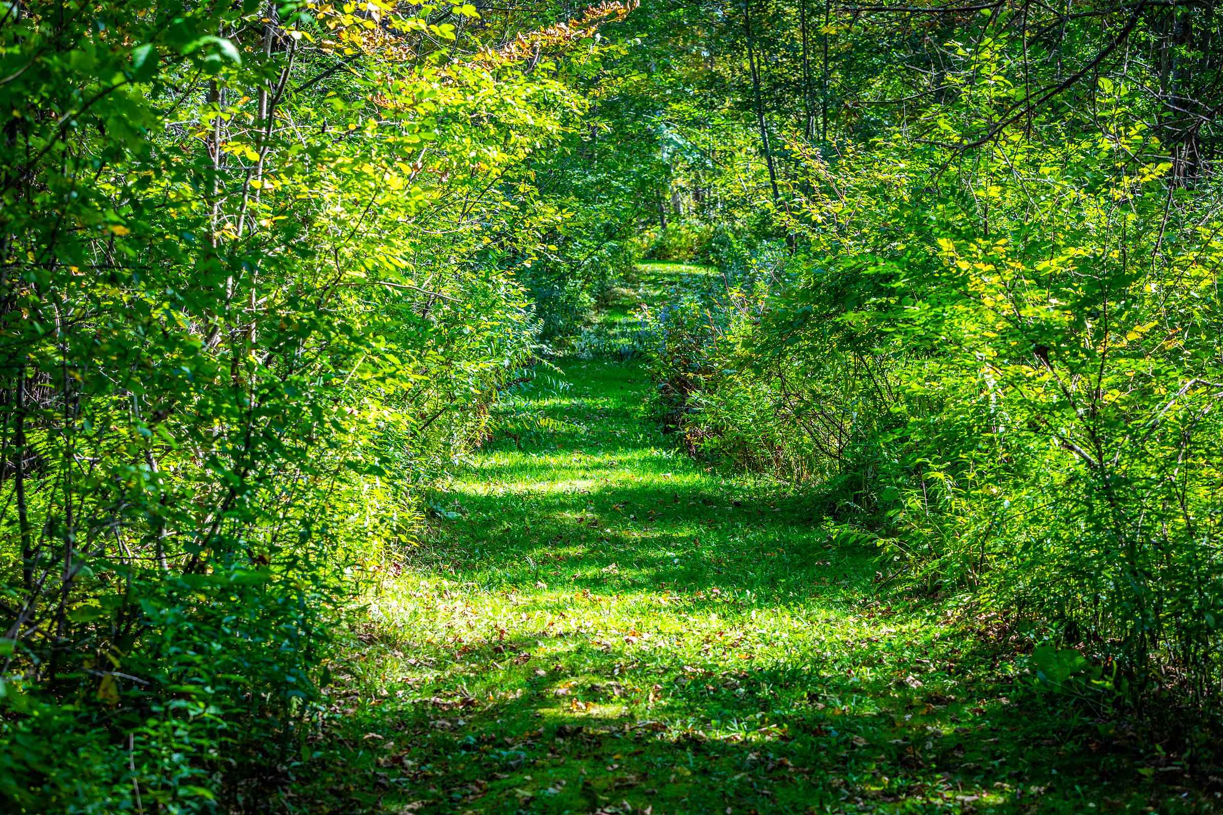 5518 Vt Route 12 Property Photo 28