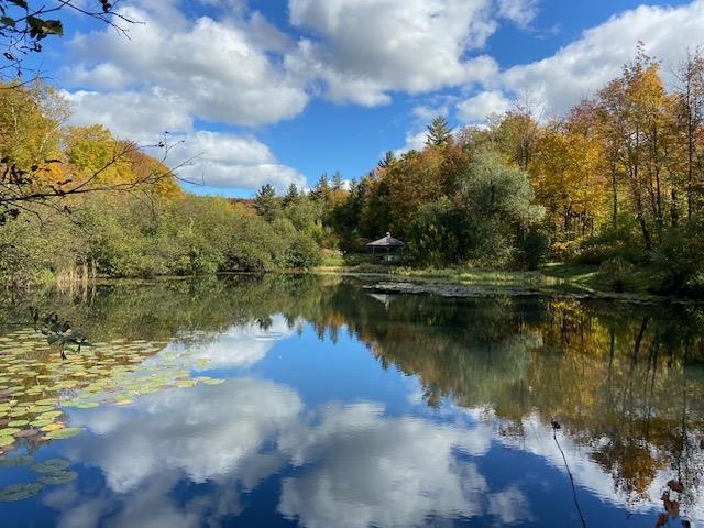 5518 Vt Route 12 Property Photo 29