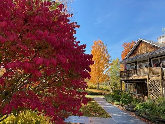 5518 Vt Route 12 Property Photo 36