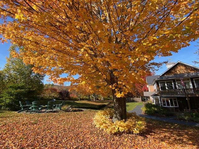 5518 Vt Route 12 Property Photo 37