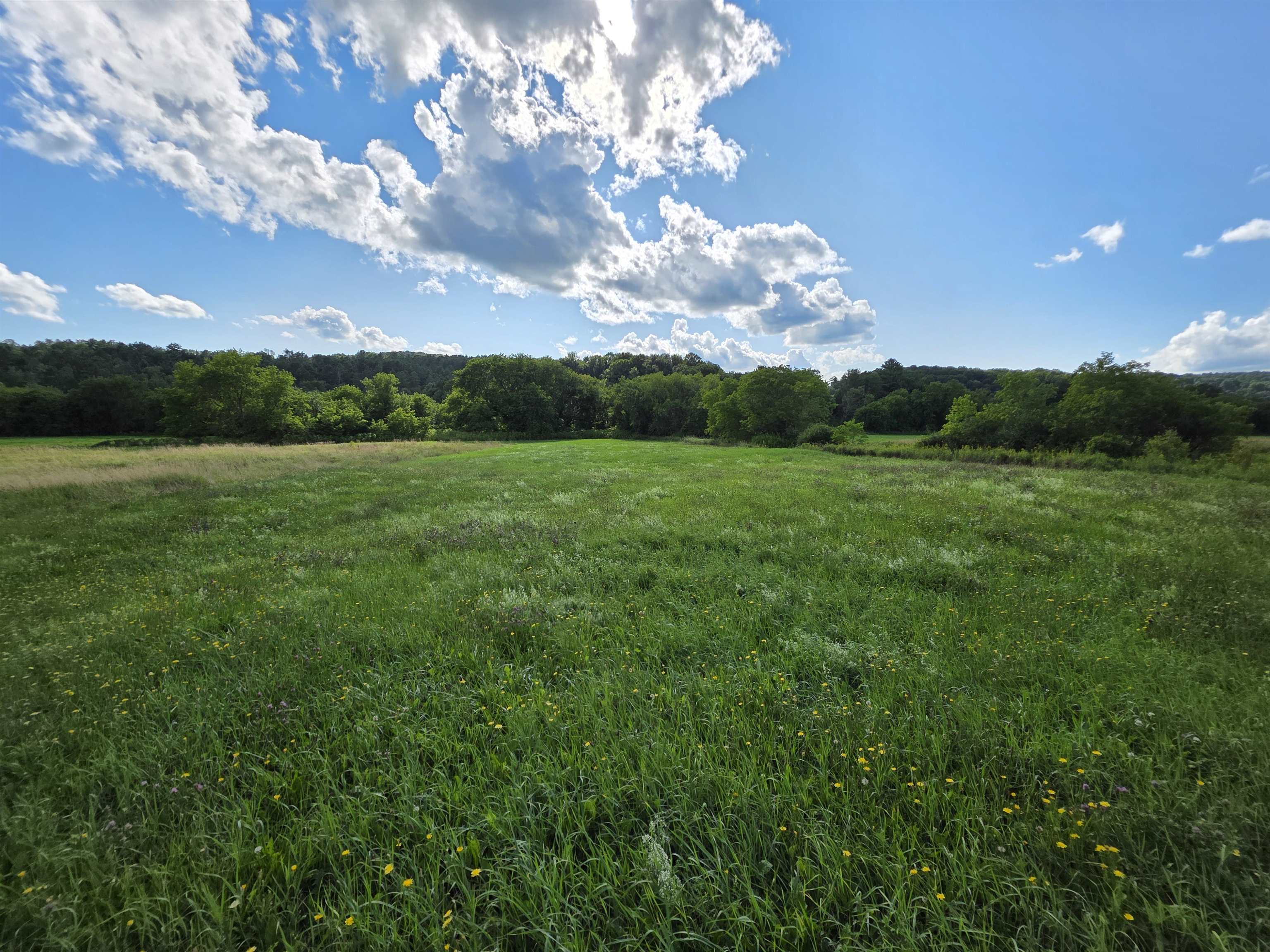 Lot#2 Gilman Road Property Photo 1
