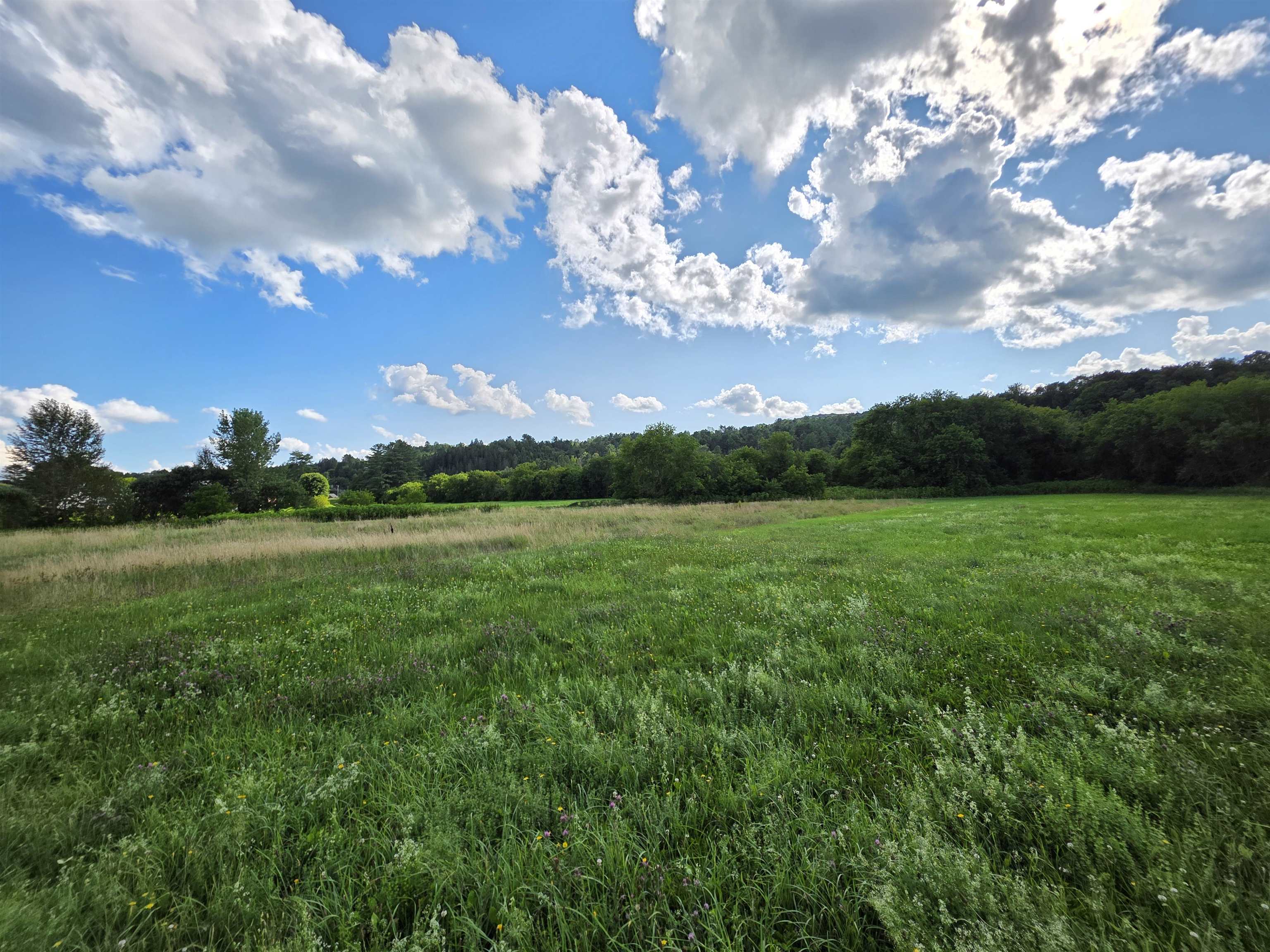 Lot#2 Gilman Road Property Photo 2
