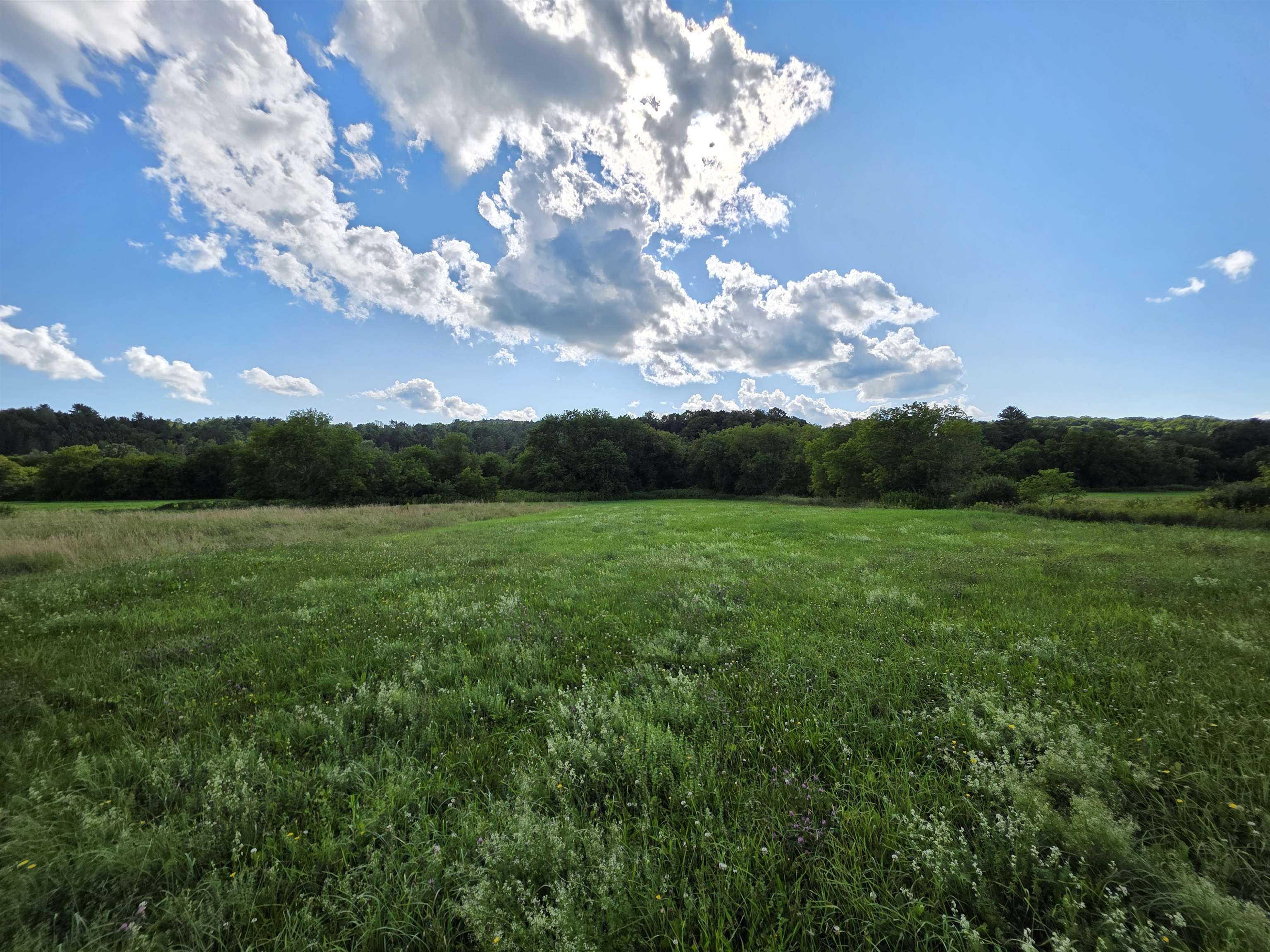 Lot#2 Gilman Road Property Photo 5