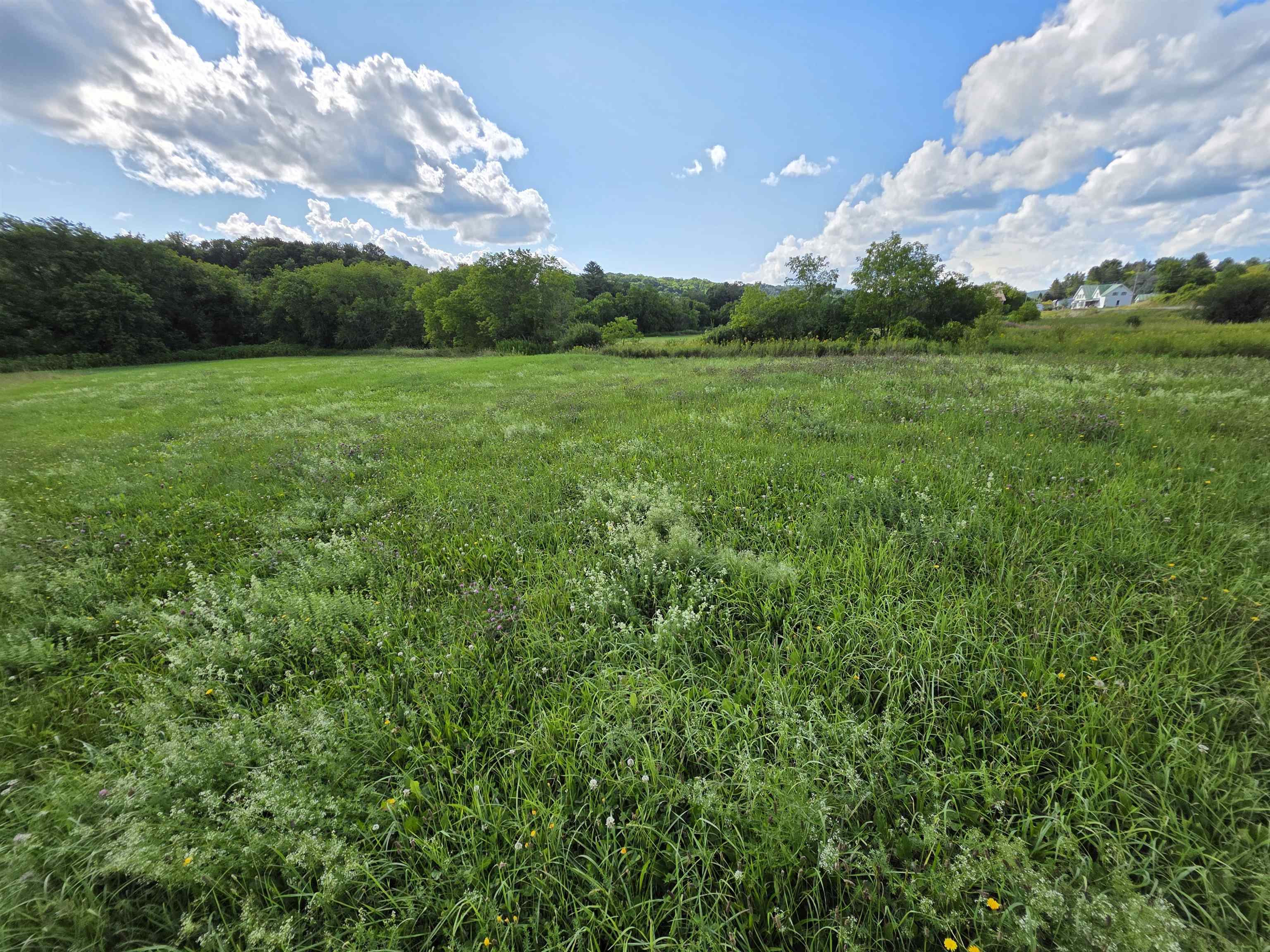 Lot#2 Gilman Road Property Photo 7