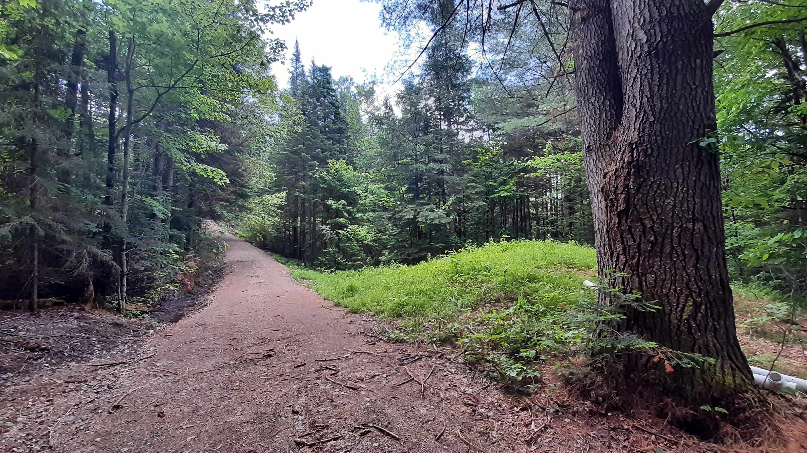 0 Route 155 Property Photo 2