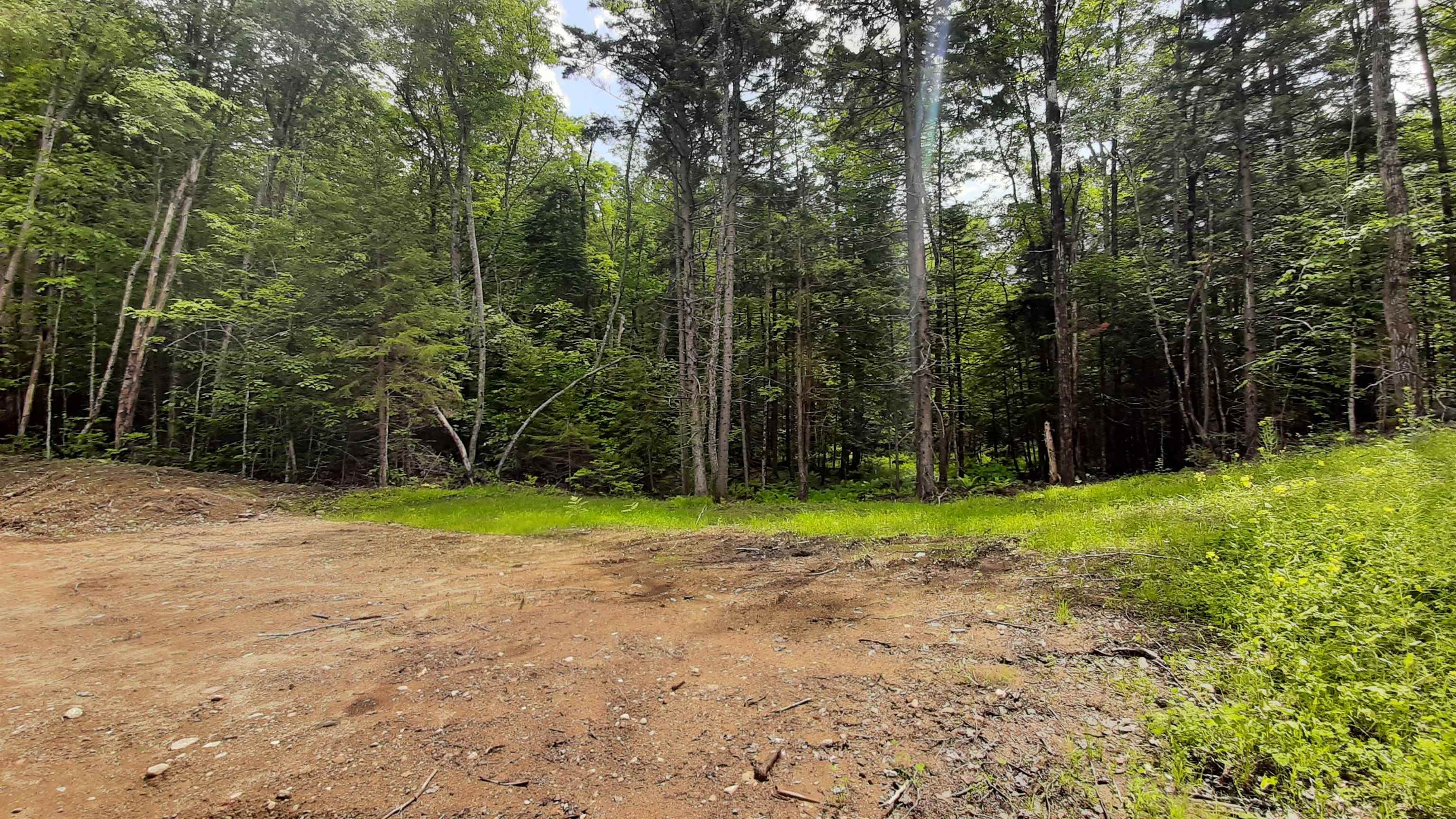 0 Route 155 Property Photo 3