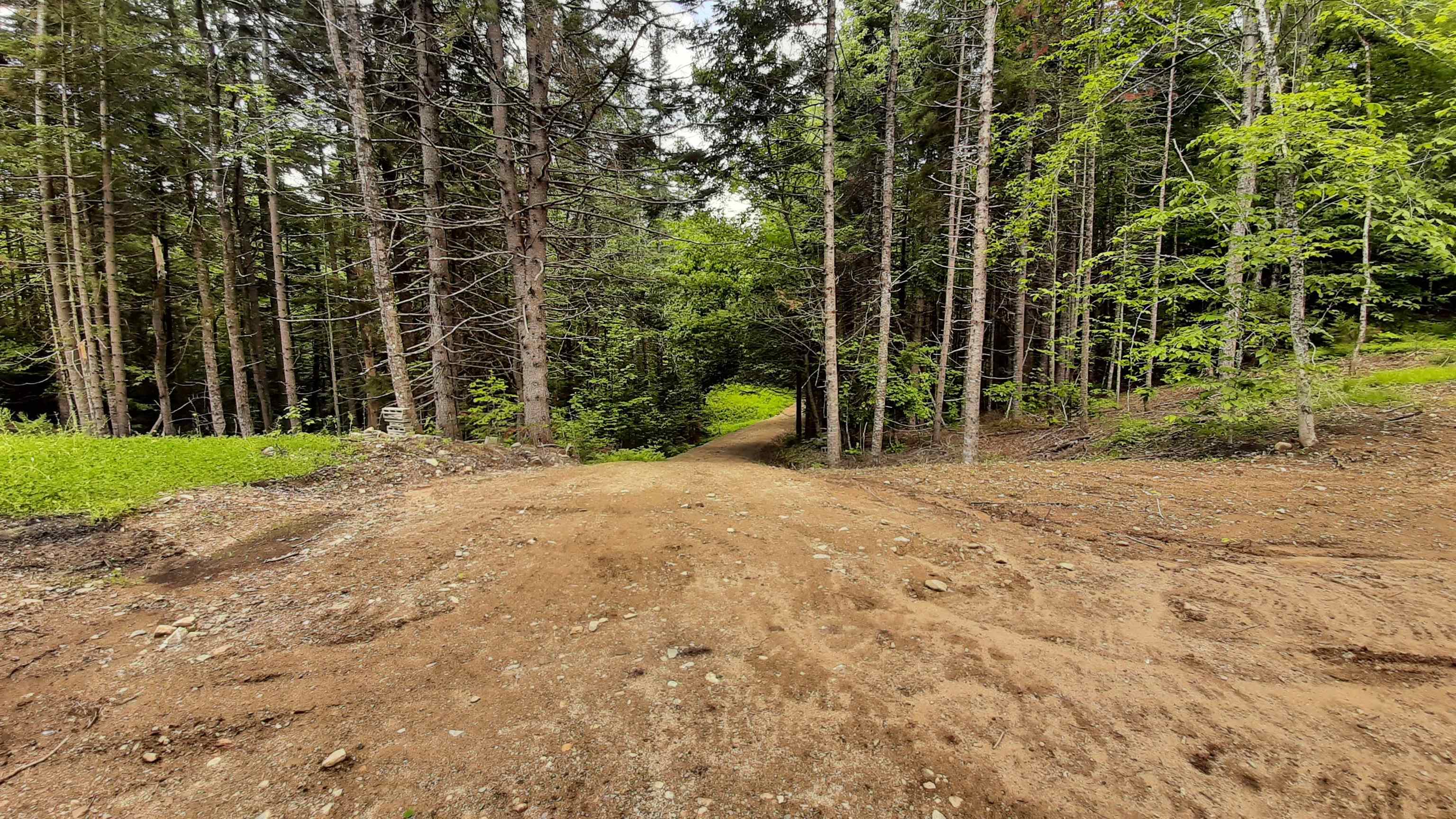 0 Route 155 Property Photo 4