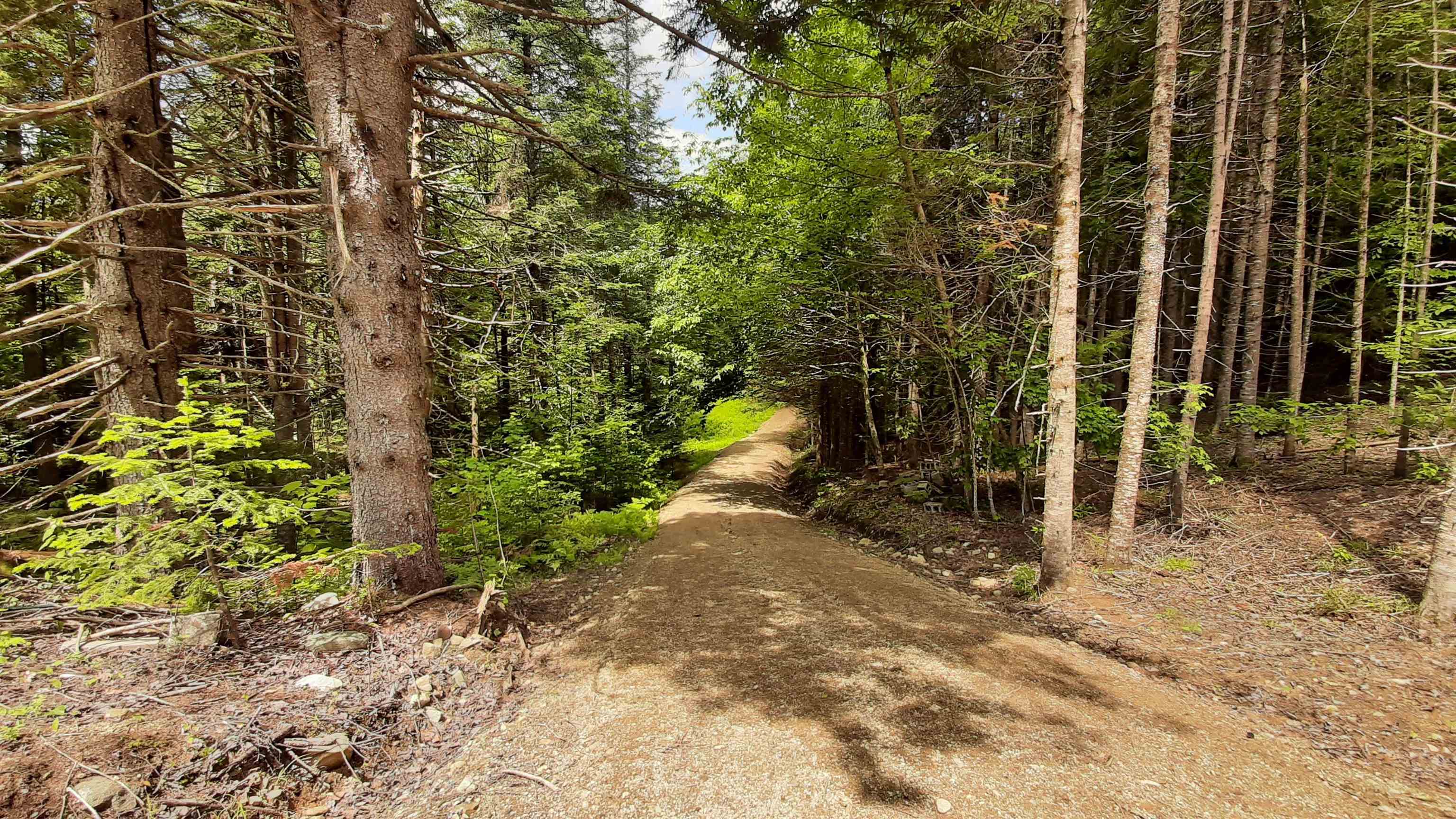 0 Route 155 Property Photo 5