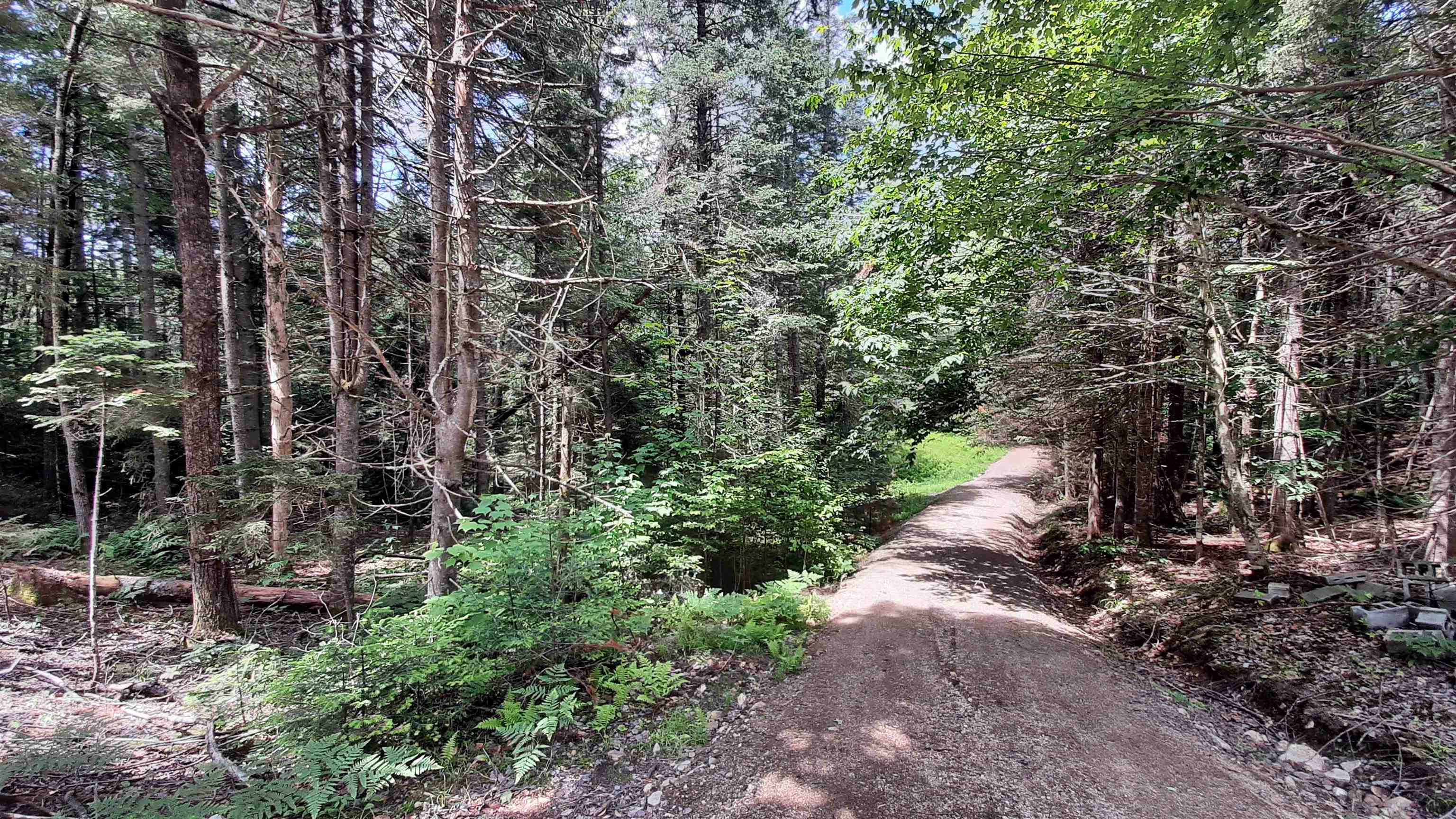 0 Route 155 Property Photo 6