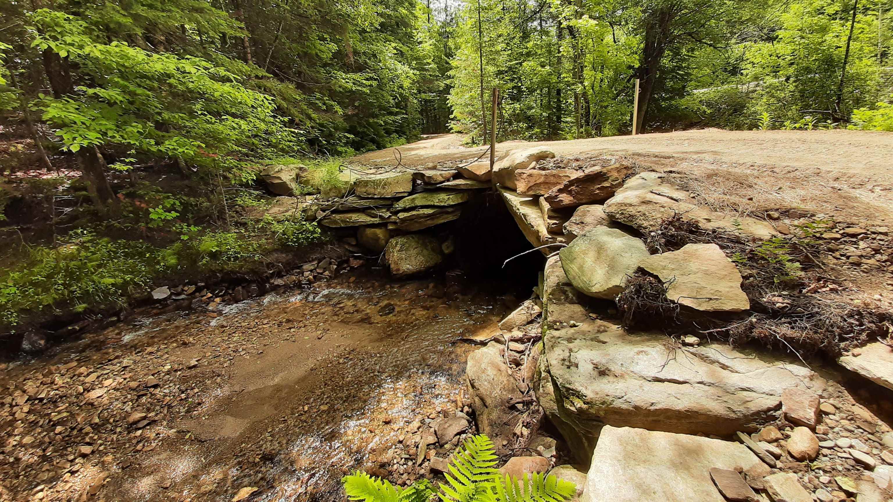 0 Route 155 Property Photo 10