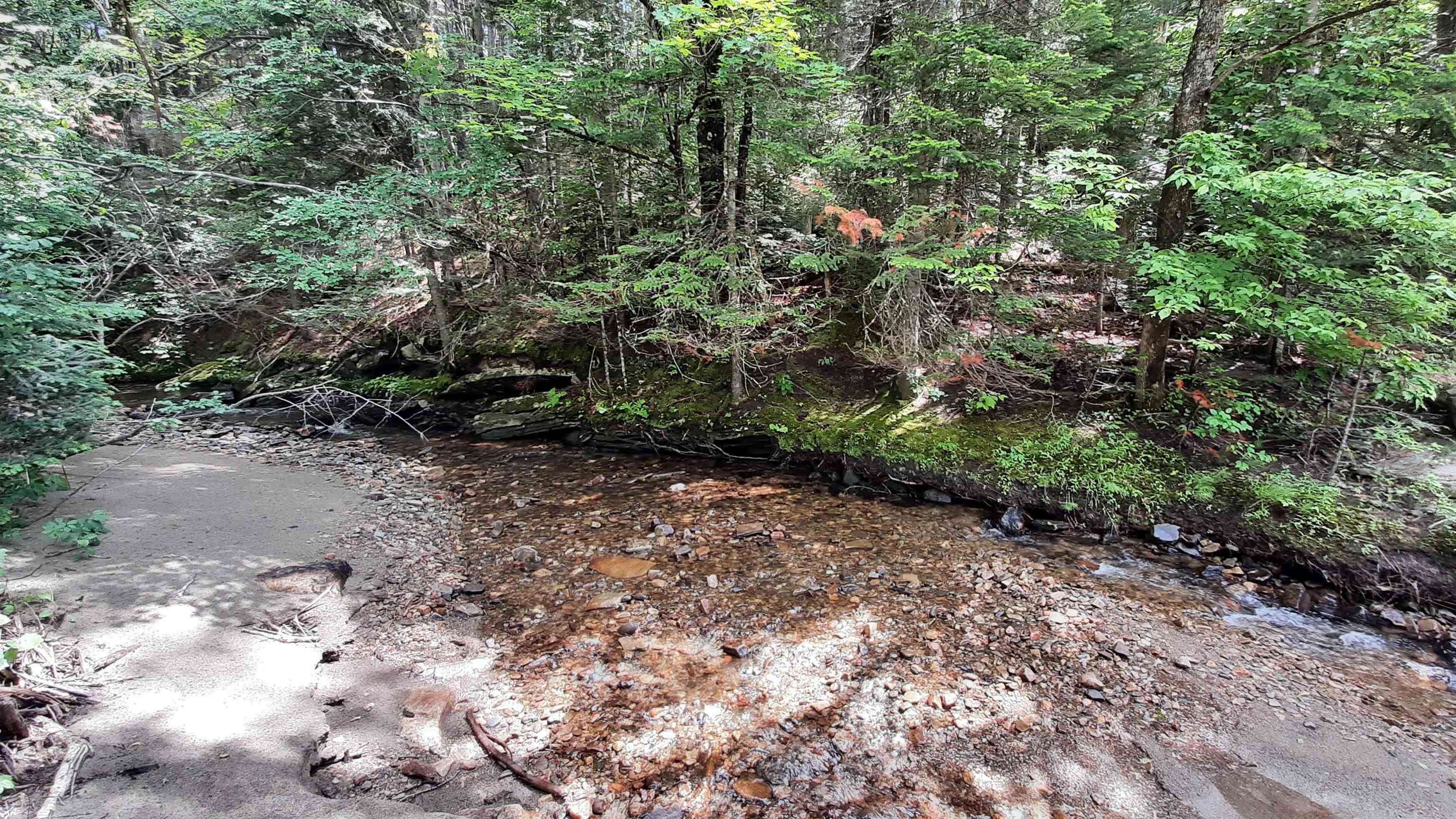 0 Route 155 Property Photo 16