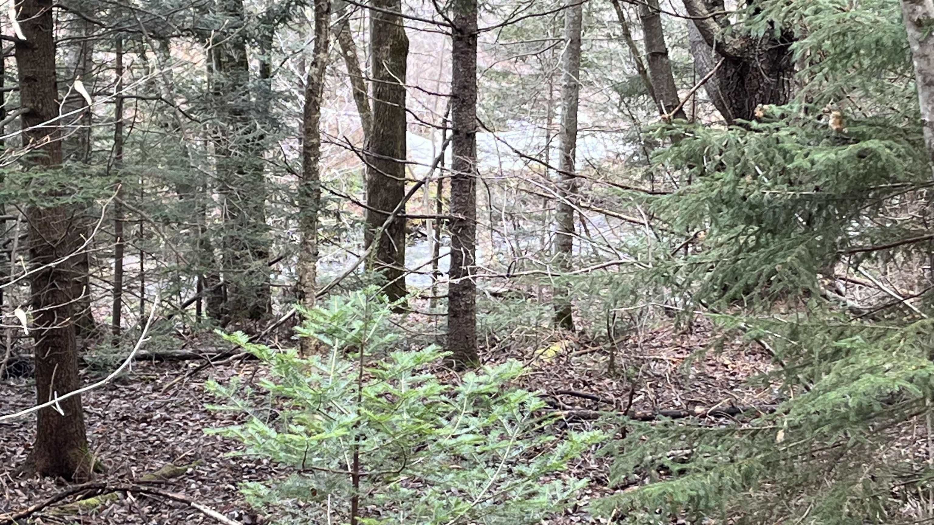 0 Route 155 Property Photo 19