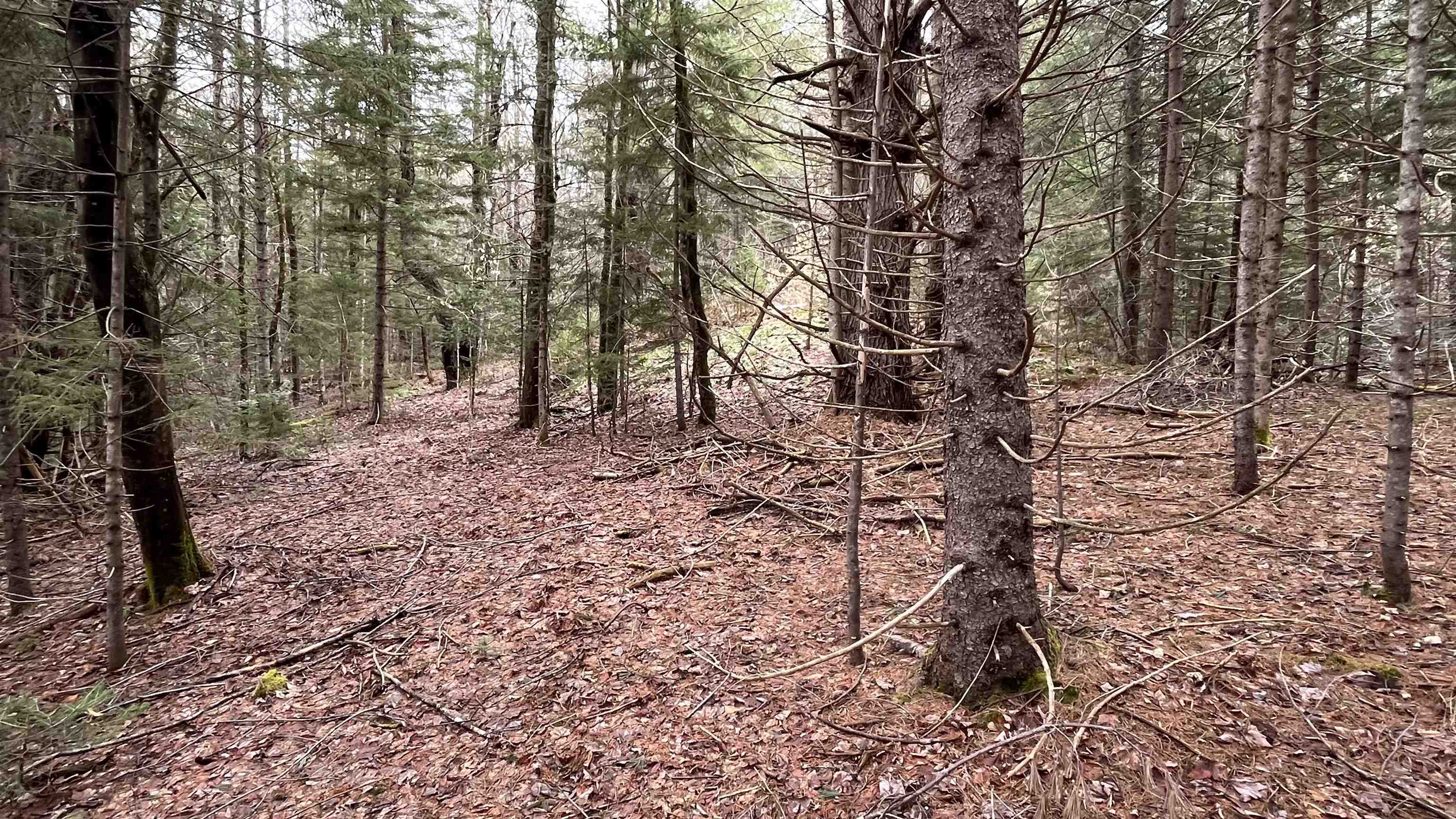 0 Route 155 Property Photo 20