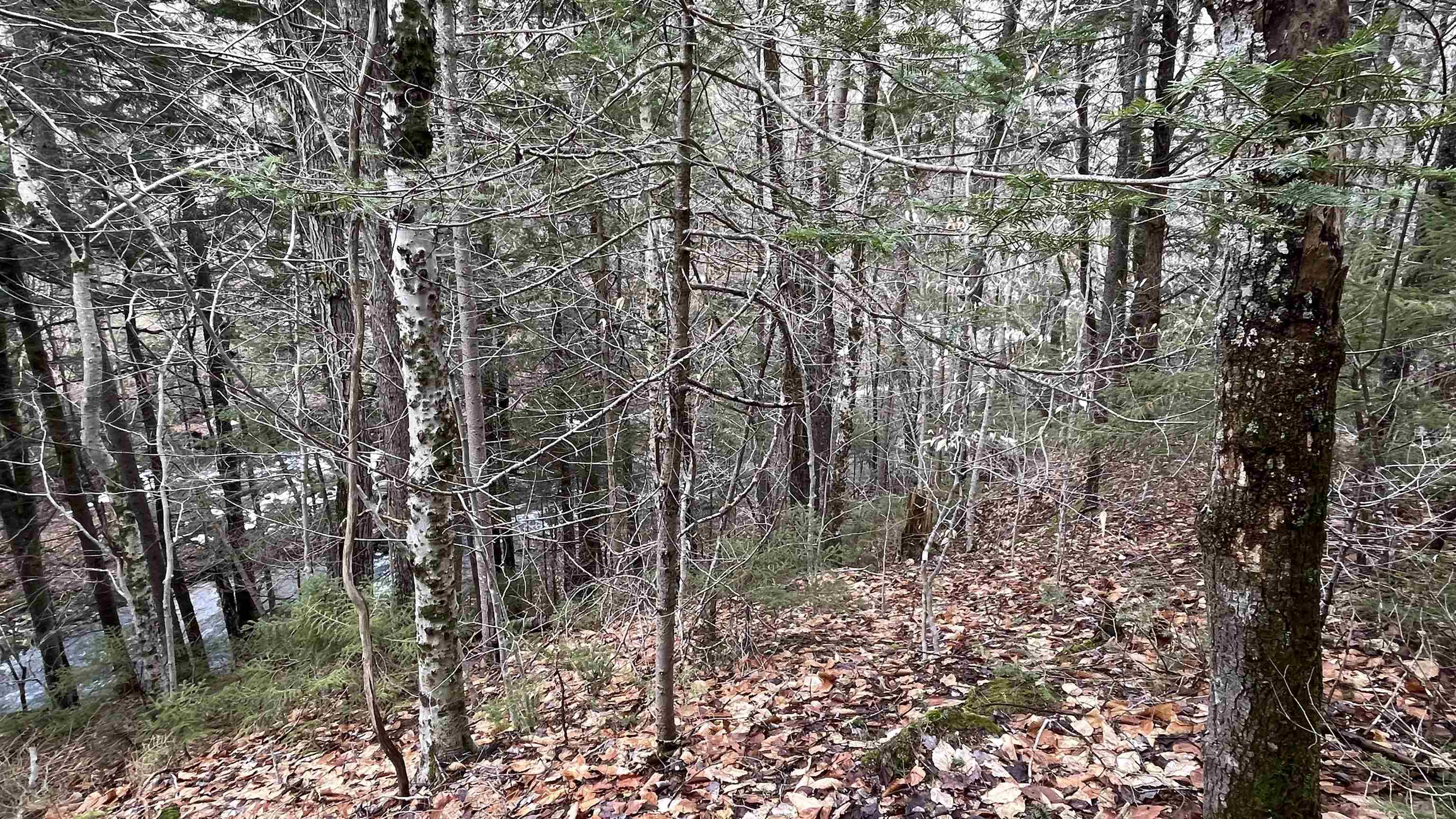 0 Route 155 Property Photo 23
