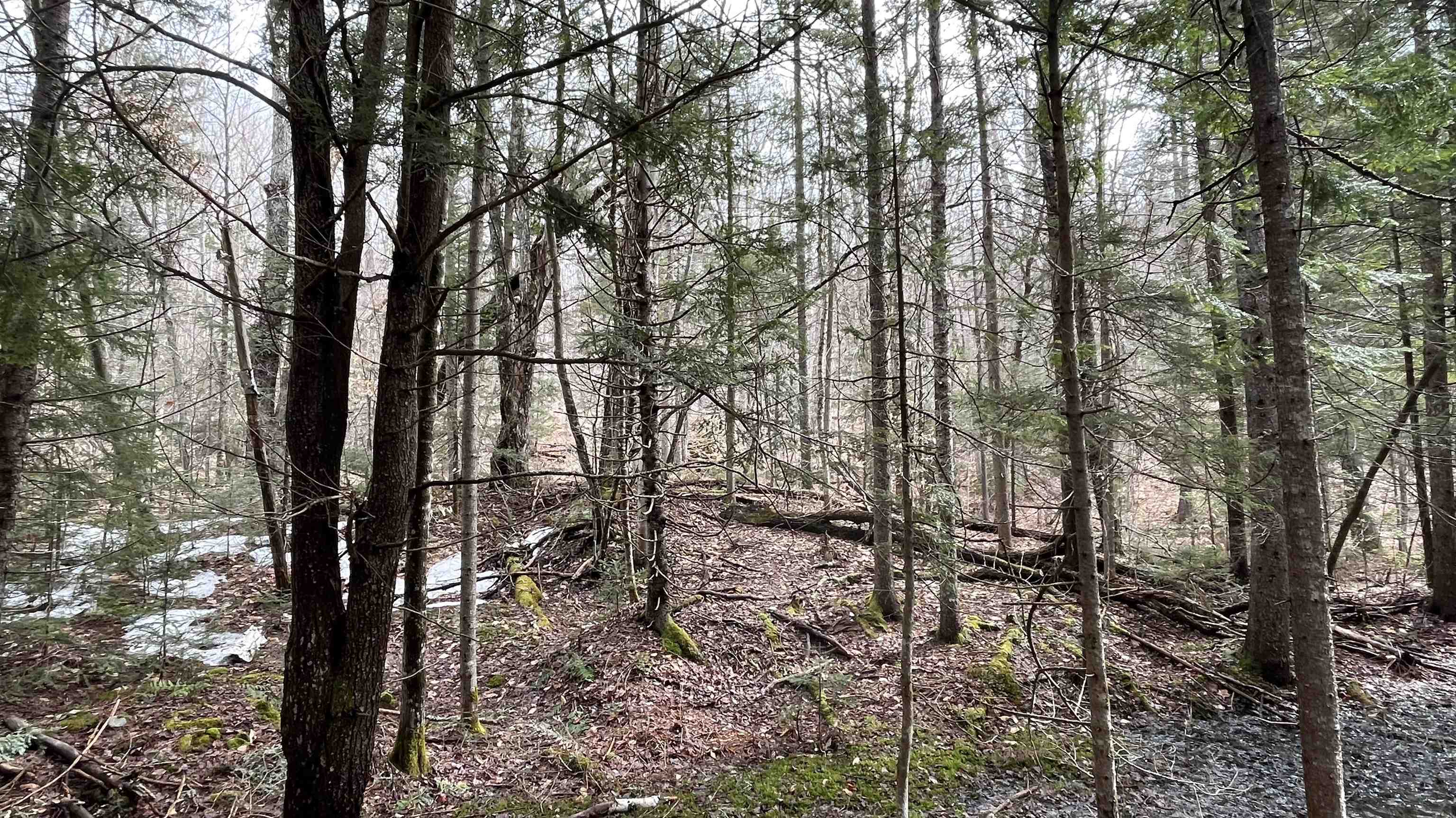 0 Route 155 Property Photo 24